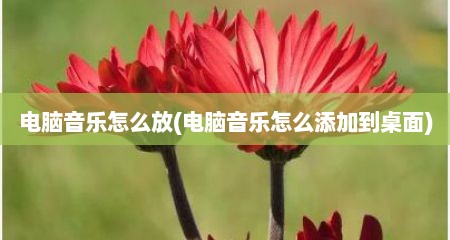 电脑音乐怎么放(电脑音乐怎么添加到桌面)