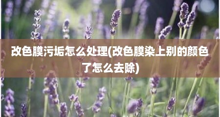 改色膜污垢怎么处理(改色膜染上别的颜色了怎么去除)