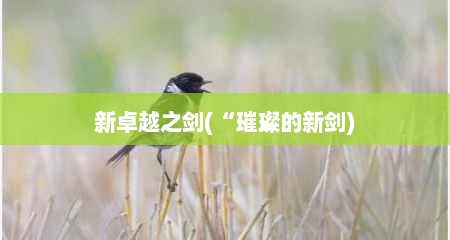 新卓越之剑(“璀璨的新剑)