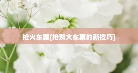 抢火车票(抢购火车票的新技巧)