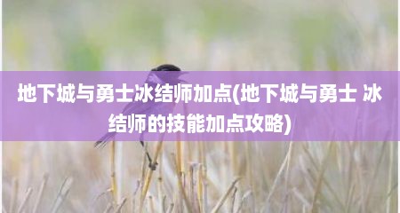 地下城与勇士冰结师加点(地下城与勇士 冰结师的技能加点攻略)