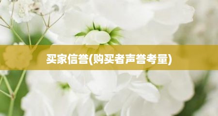 买家信誉(购买者声誉考量)