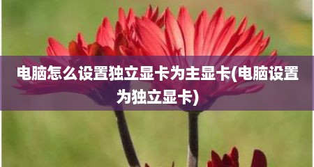 电脑怎么设置独立显卡为主显卡(电脑设置为独立显卡)