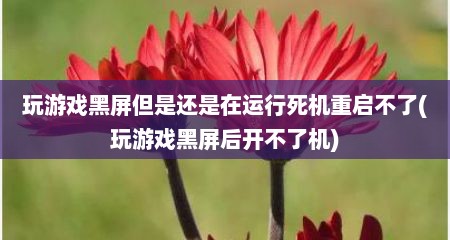 玩游戏黑屏但是还是在运行死机重启不了(玩游戏黑屏后开不了机)