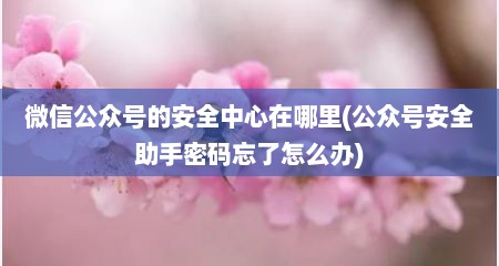 微信公众号的安全中心在哪里(公众号安全助手密码忘了怎么办)