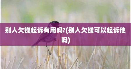 别人欠钱起诉有用吗?(别人欠钱可以起诉他吗)