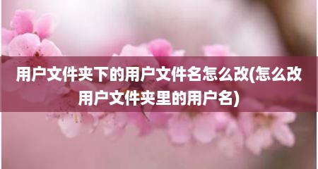 用户文件夹下的用户文件名怎么改(怎么改用户文件夹里的用户名)