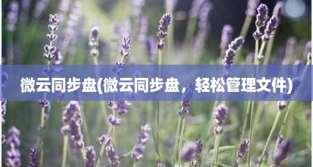 微云同步盘(微云同步盘，轻松管理文件)