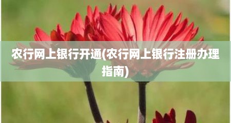 农行网上银行开通(农行网上银行注册办理指南)