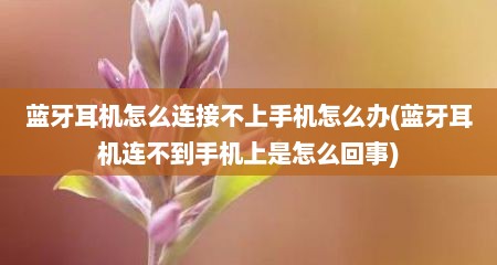 蓝牙耳机怎么连接不上手机怎么办(蓝牙耳机连不到手机上是怎么回事)