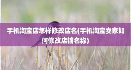手机淘宝店怎样修改店名(手机淘宝卖家如何修改店铺名称)