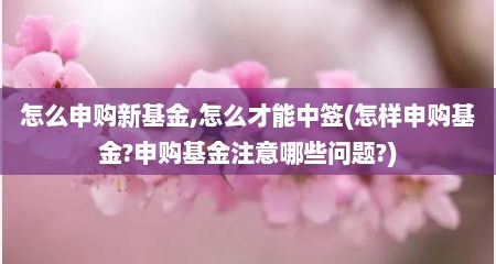 怎么申购新基金,怎么才能中签(怎样申购基金?申购基金注意哪些问题?)
