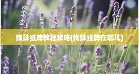 蜘蛛纸牌教程攻略(蜘蛛纸牌在哪儿)