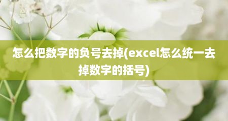 怎么把数字的负号去掉(excel怎么统一去掉数字的括号)