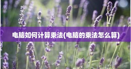 电脑如何计算乘法(电脑的乘法怎么算)