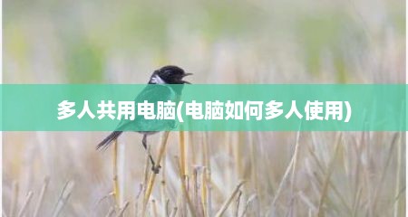 多人共用电脑(电脑如何多人使用)