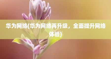 华为网络(华为网络再升级，全面提升网络体验)