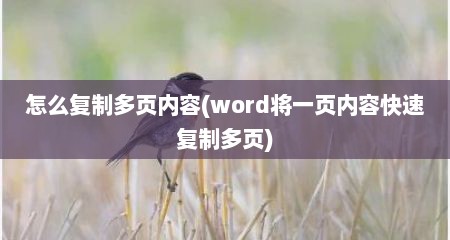 怎么复制多页内容(word将一页内容快速复制多页)