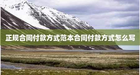 正规合同付款方式范本合同付款方式怎么写
