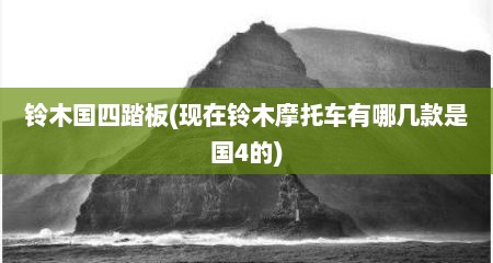 铃木国四踏板(现在铃木摩托车有哪几款是国4的)