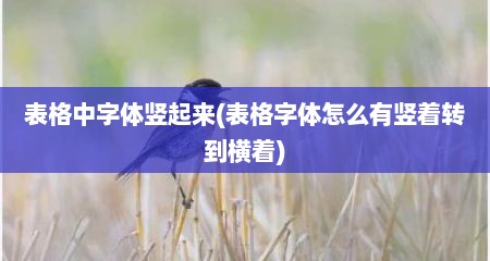 表格中字体竖起来(表格字体怎么有竖着转到横着)