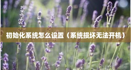 初始化系统怎么设置（系统损坏无法开机）