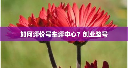 如何评价号车评中心？创业路号
