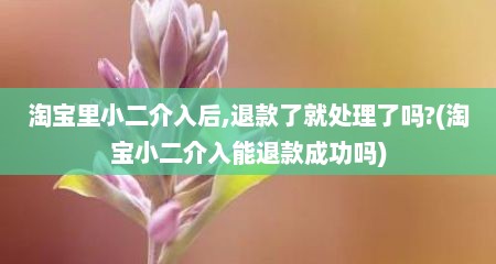 淘宝里小二介入后,退款了就处理了吗?(淘宝小二介入能退款成功吗)
