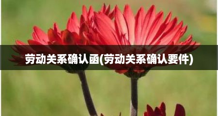 劳动关系确认函(劳动关系确认要件)