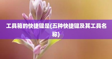 工具箱的快捷键是(五种快捷键及其工具名称)