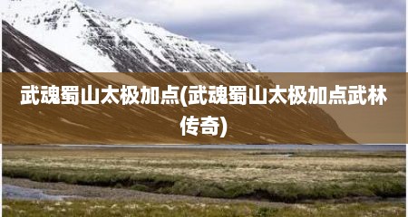武魂蜀山太极加点(武魂蜀山太极加点武林传奇)