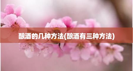 酿酒的几种方法(酿酒有三种方法)