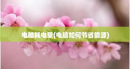 电脑耗电量(电脑如何节省能源)