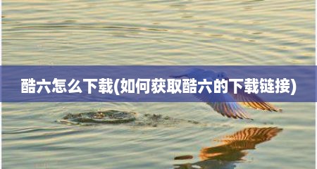 酷六怎么下载(如何获取酷六的下载链接)
