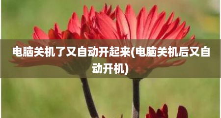 电脑关机了又自动开起来(电脑关机后又自动开机)