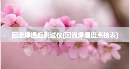 回流焊温度测试仪(回流焊温度点检表)