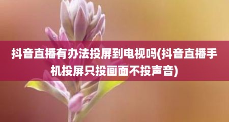 抖音直播有办法投屏到电视吗(抖音直播手机投屏只投画面不投声音)