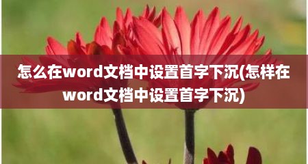 怎么在word文档中设置首字下沉(怎样在word文档中设置首字下沉)