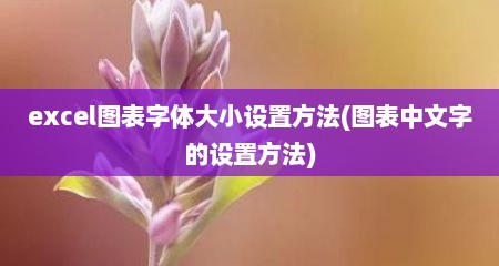 excel图表字体大小设置方法(图表中文字的设置方法)