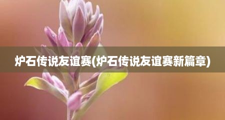 炉石传说友谊赛(炉石传说友谊赛新篇章)