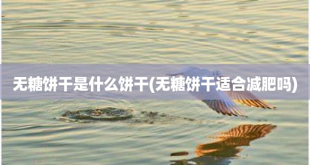 无糖饼干是什么饼干(无糖饼干适合减肥吗)