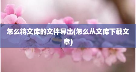 怎么将文库的文件导出(怎么从文库下载文章)