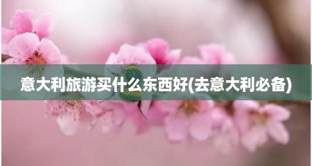 意大利旅游买什么东西好(去意大利必备)