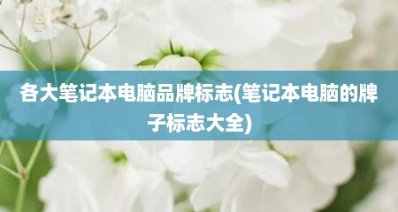 各大笔记本电脑品牌标志(笔记本电脑的牌子标志大全)