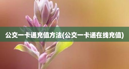公交一卡通充值方法(公交一卡通在线充值)