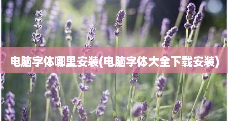 电脑字体哪里安装(电脑字体大全下载安装)