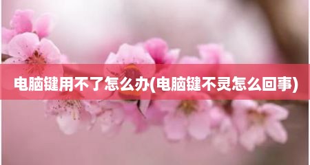 电脑键用不了怎么办(电脑键不灵怎么回事)