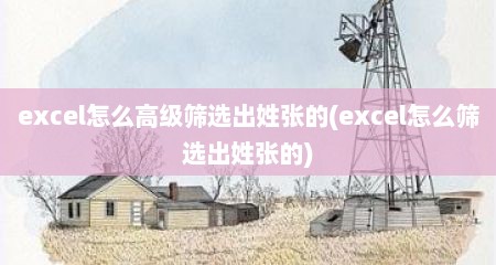 excel怎么高级筛选出姓张的(excel怎么筛选出姓张的)