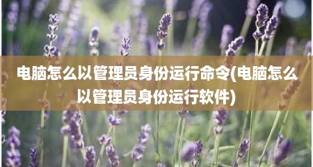电脑怎么以管理员身份运行命令(电脑怎么以管理员身份运行软件)