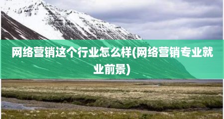 网络营销这个行业怎么样(网络营销专业就业前景)